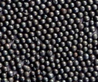 绿巨人软件下载汚