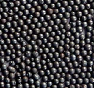 绿巨人软件下载汚